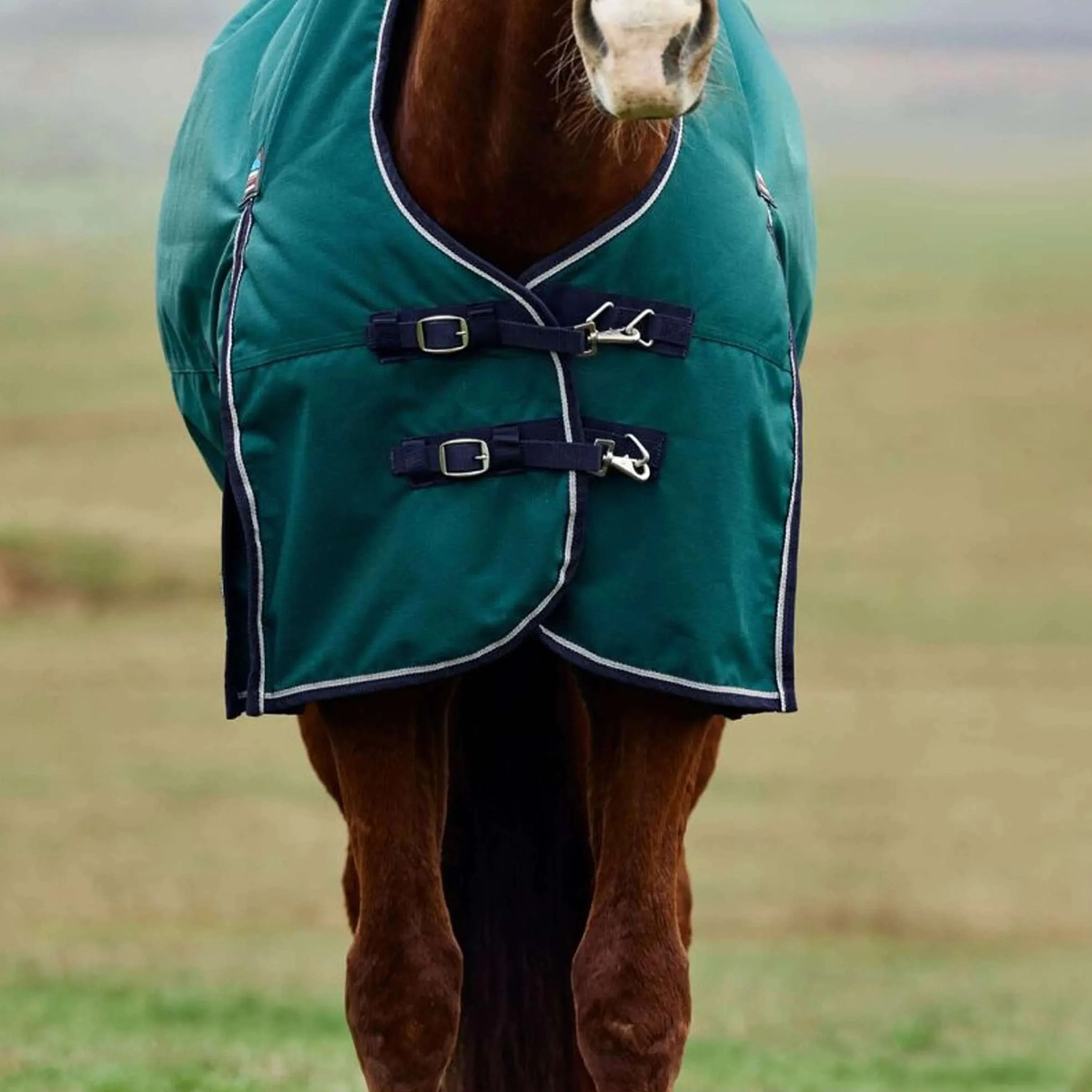 WeatherBeeta ComFiTec Plus Dynamic Turnout 100g Forest Green/Navy - Image 3