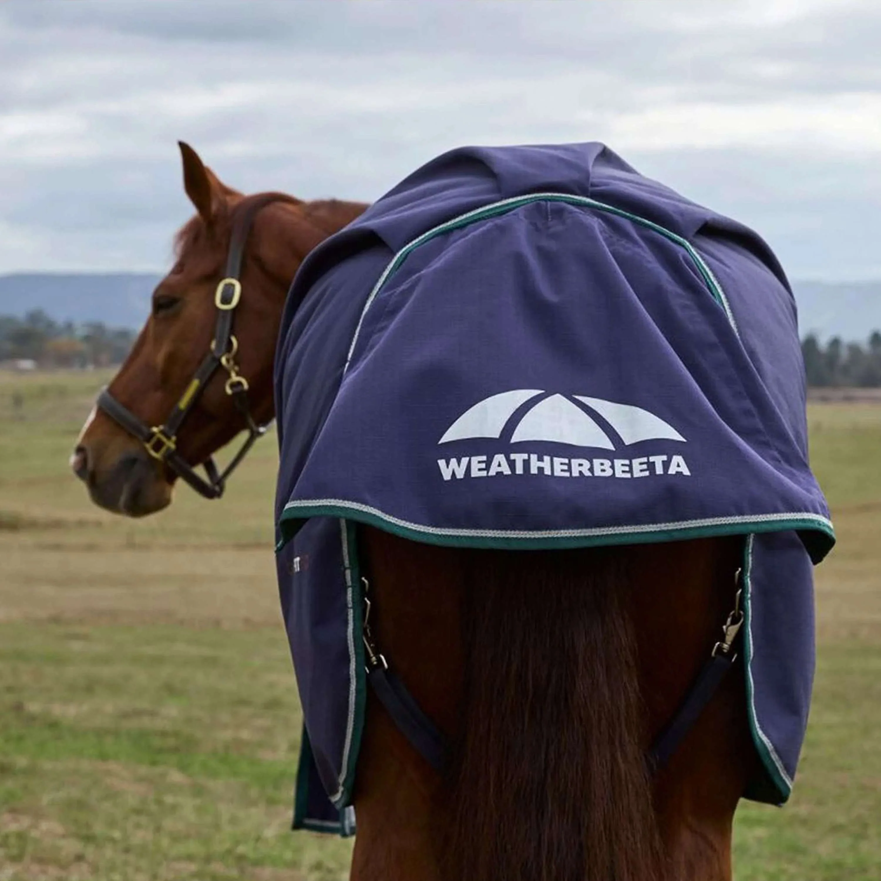 WeatherBeeta ComFiTec Plus Dynamic Turnout 220 g Navy/Forest Green - Image 8