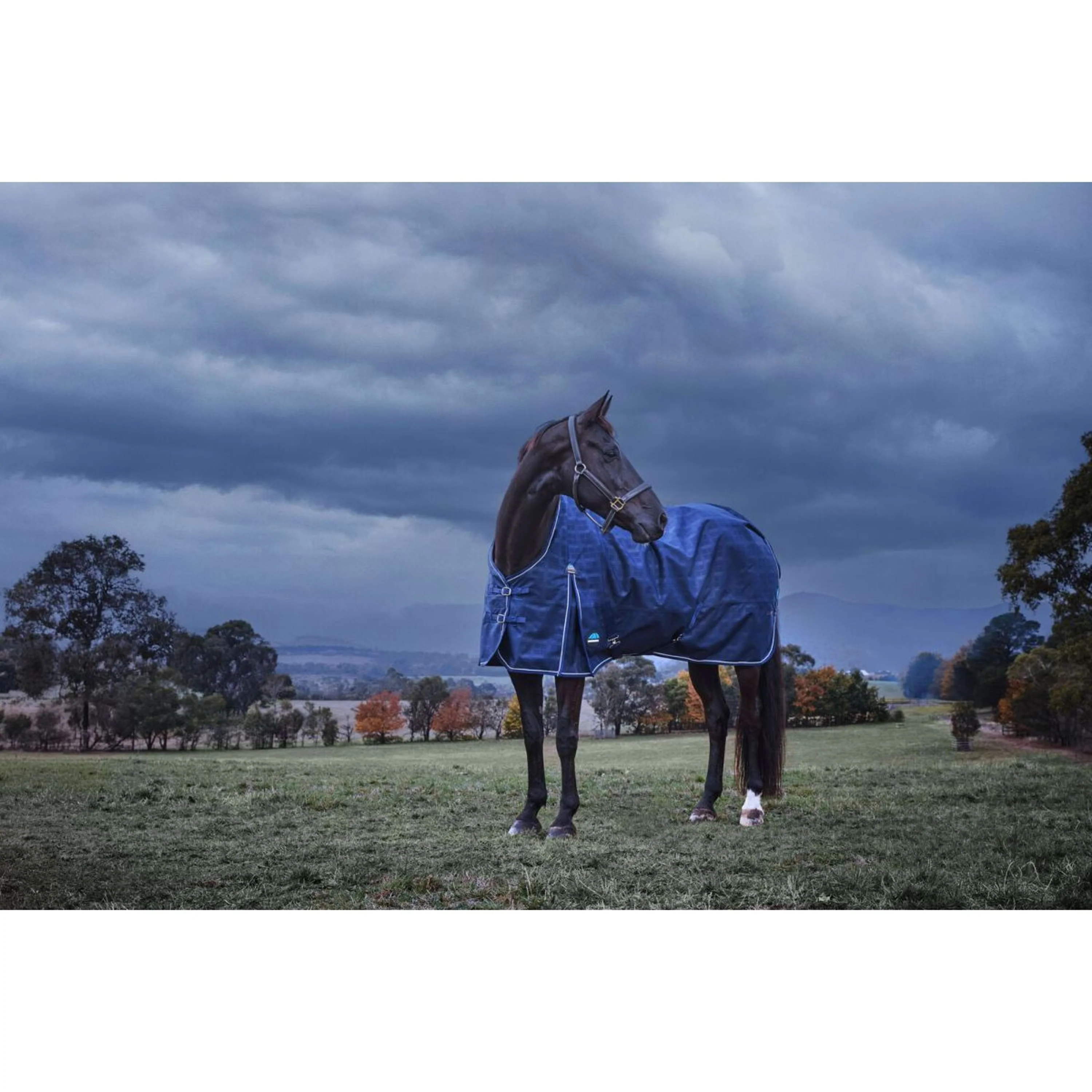 WeatherBeeta ComFiTec Prelim Turnout 220 g Navy Embossed Plaid - Image 11