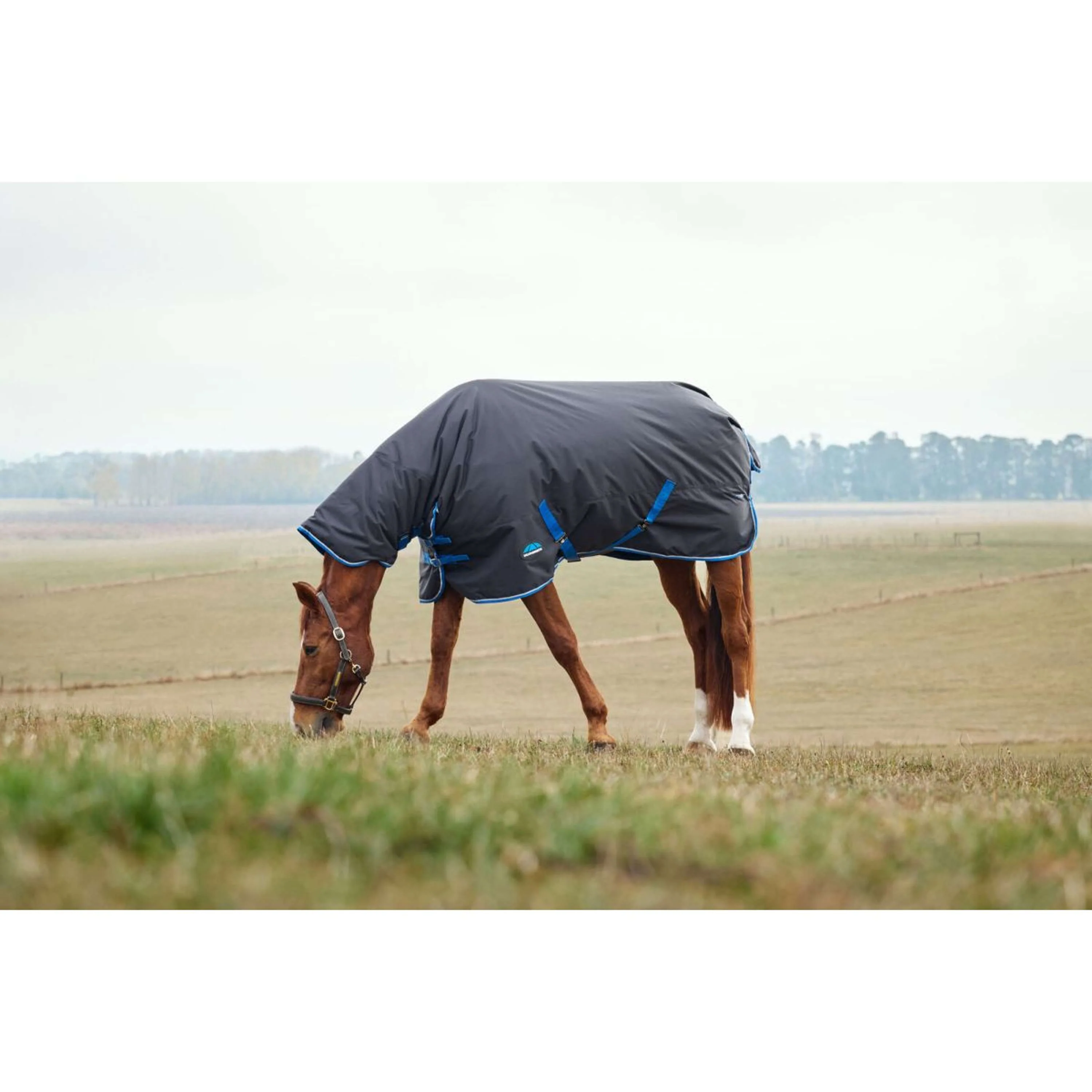 WeatherBeeta ComFiTec Tyro Turnout Combo Neck 220 g Nero/Cobalto - Image 2