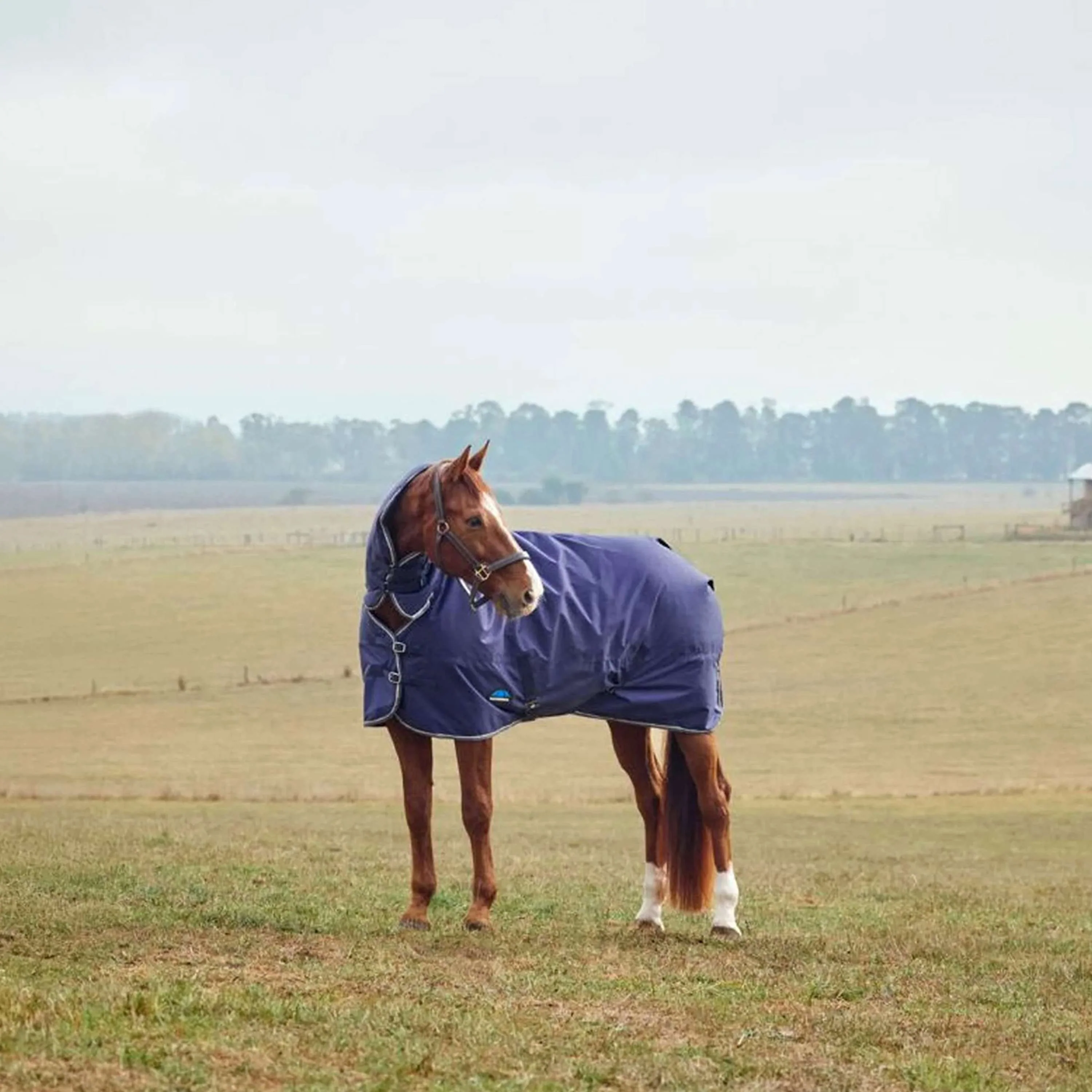 WeatherBeeta ComFiTec Tyro Turnout Combo Neck 220 g Blu marino/Carbone - Image 2