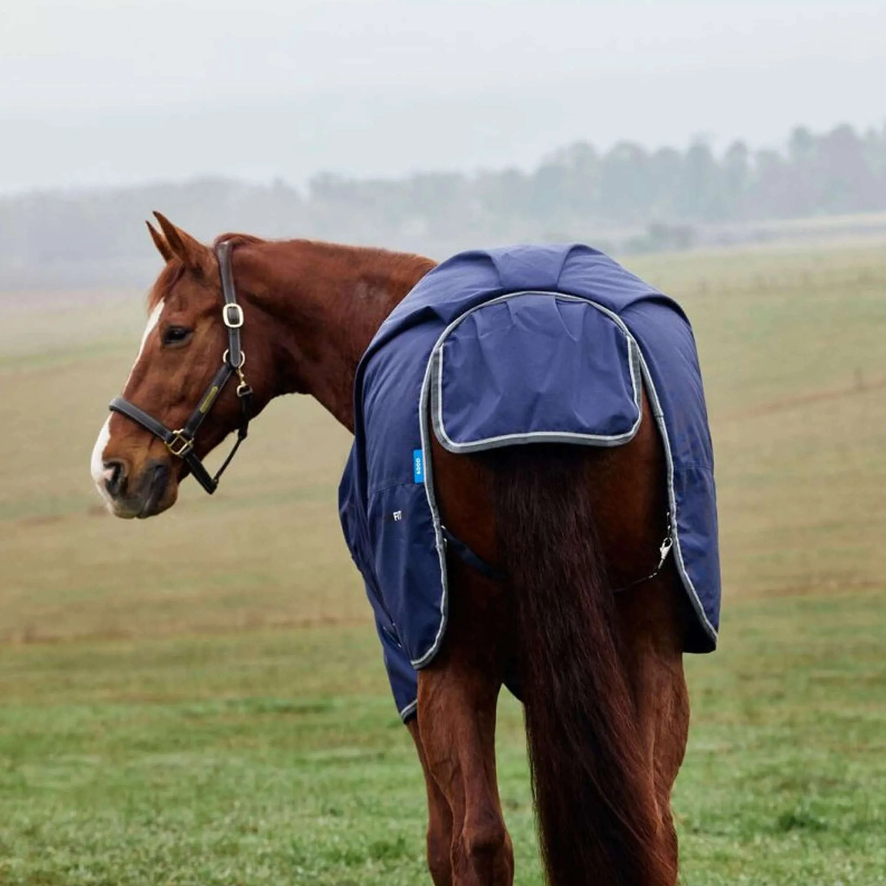 WeatherBeeta ComFiTec Tyro Turnout Standard Neck 220 g Blu marino/Carbone - Image 8