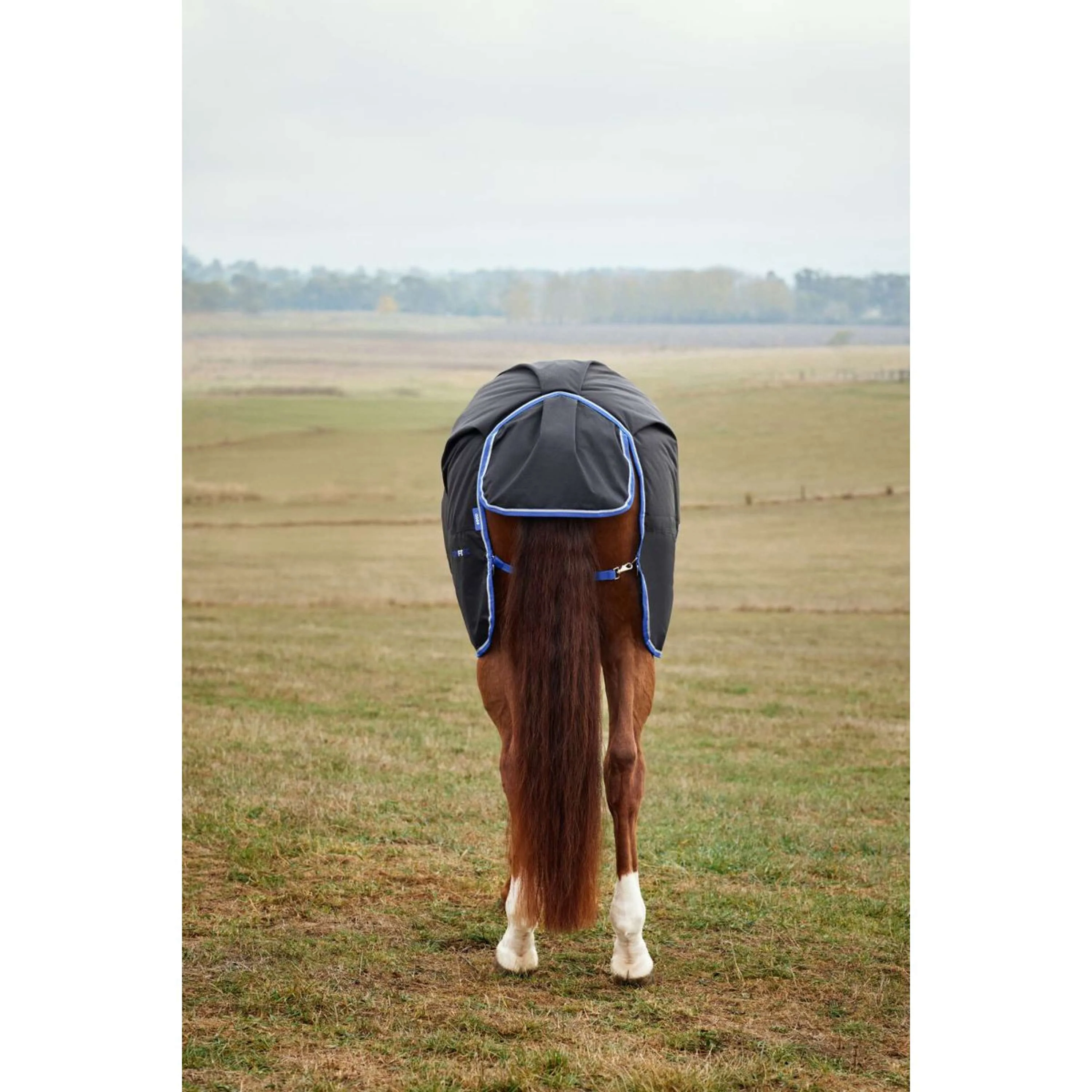 WeatherBeeta ComFiTec Tyro Turnout Standard Neck 220 g Nero/Cobalto - Image 4