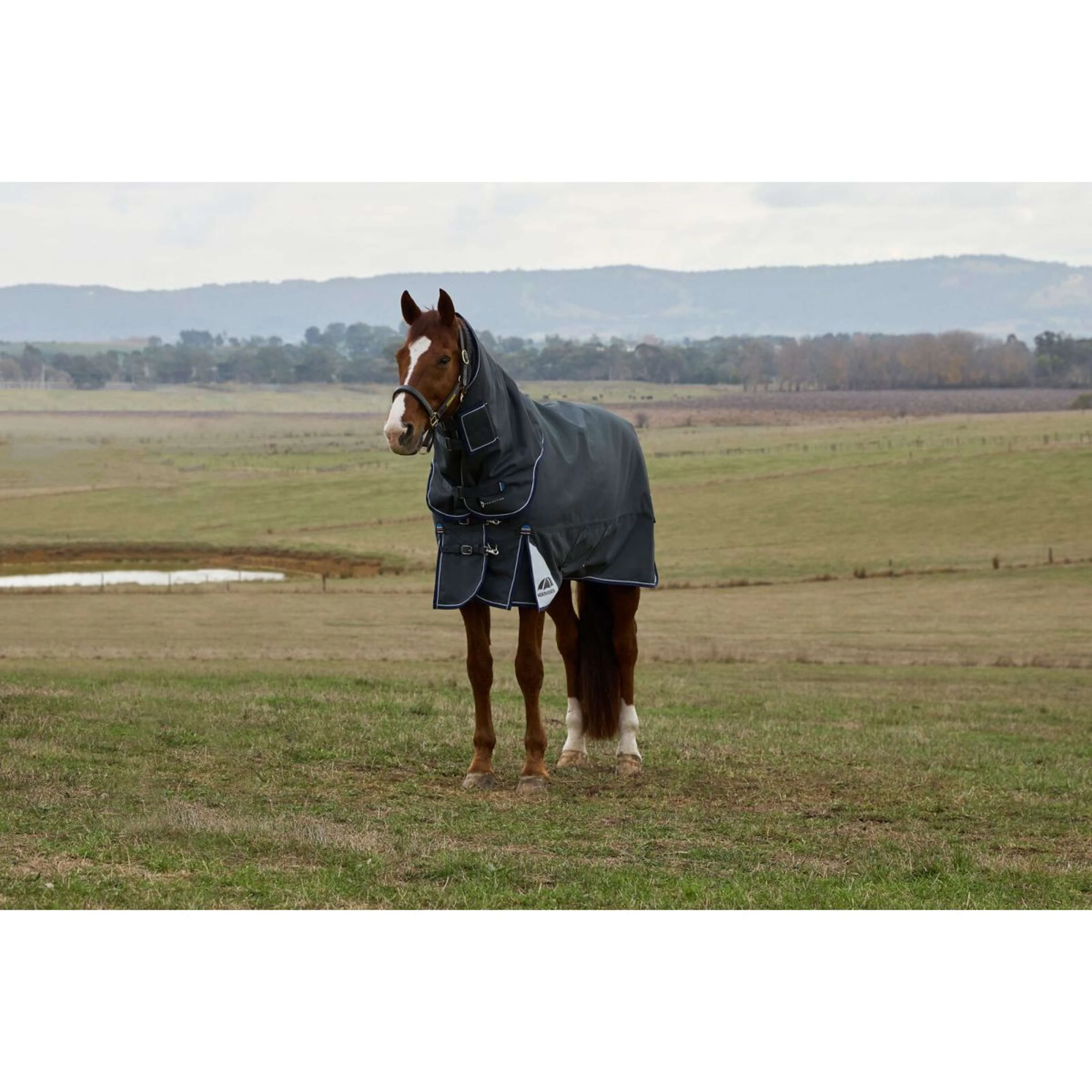WeatherBeeta ComFiTec Ultra Turnout Detach-A-Neck 220 g Carbone