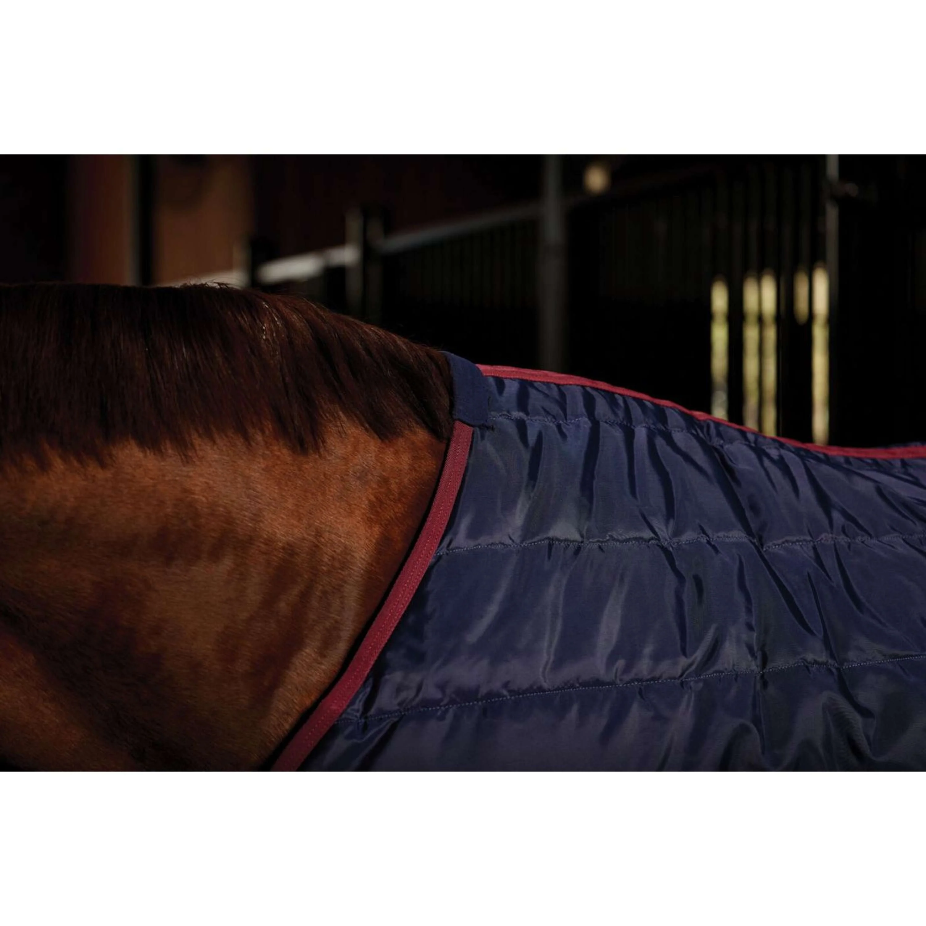 WeatherBeeta Coperta da scuderia ComFiTec 210D Channel Quilt Standard Neck 100g Navy/Burgundy - Image 4