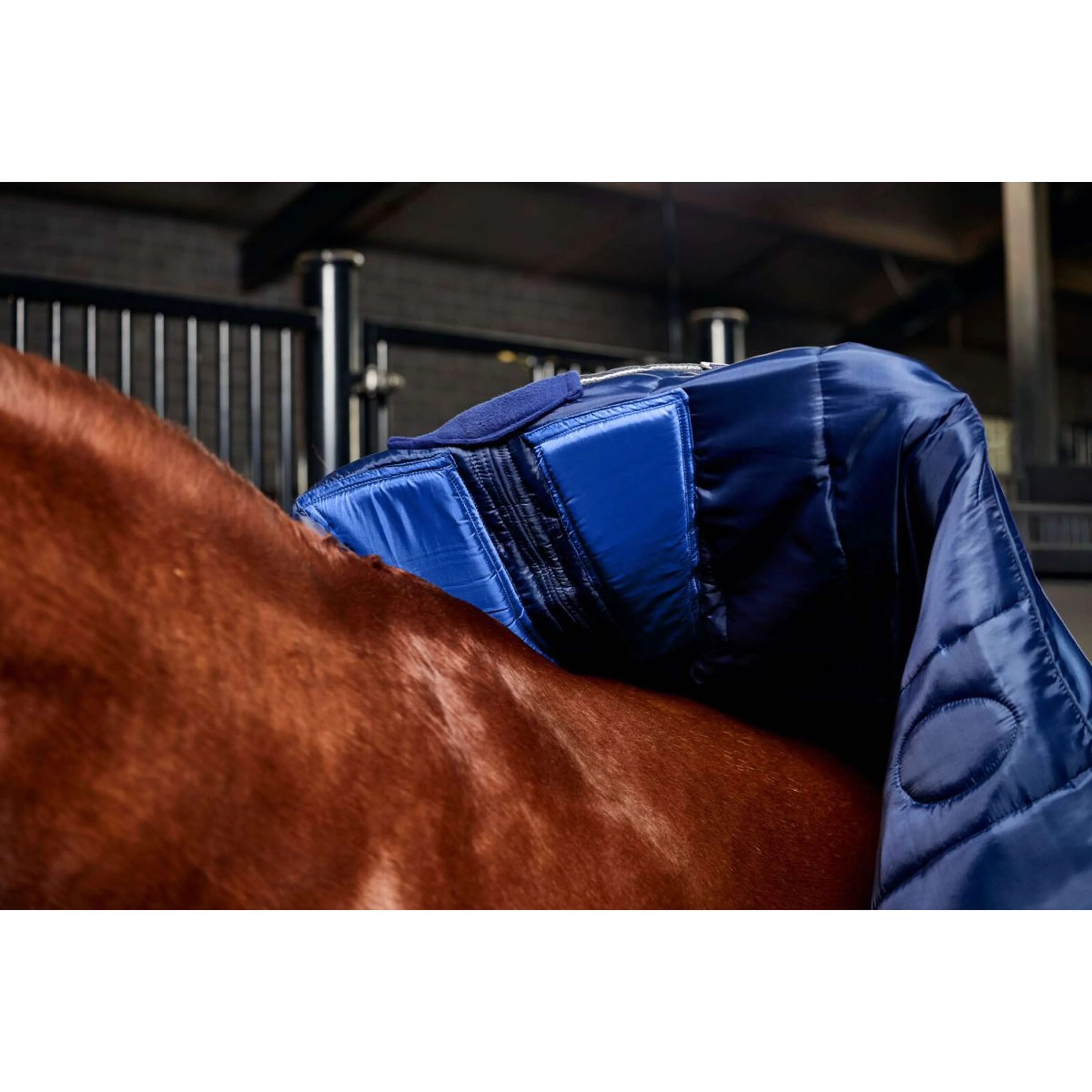 WeatherBeeta Coperta da scuderia ComFiTec PP Channel Quilt Detach-A-Neck 220 g Blu marino/Carbone - Image 9
