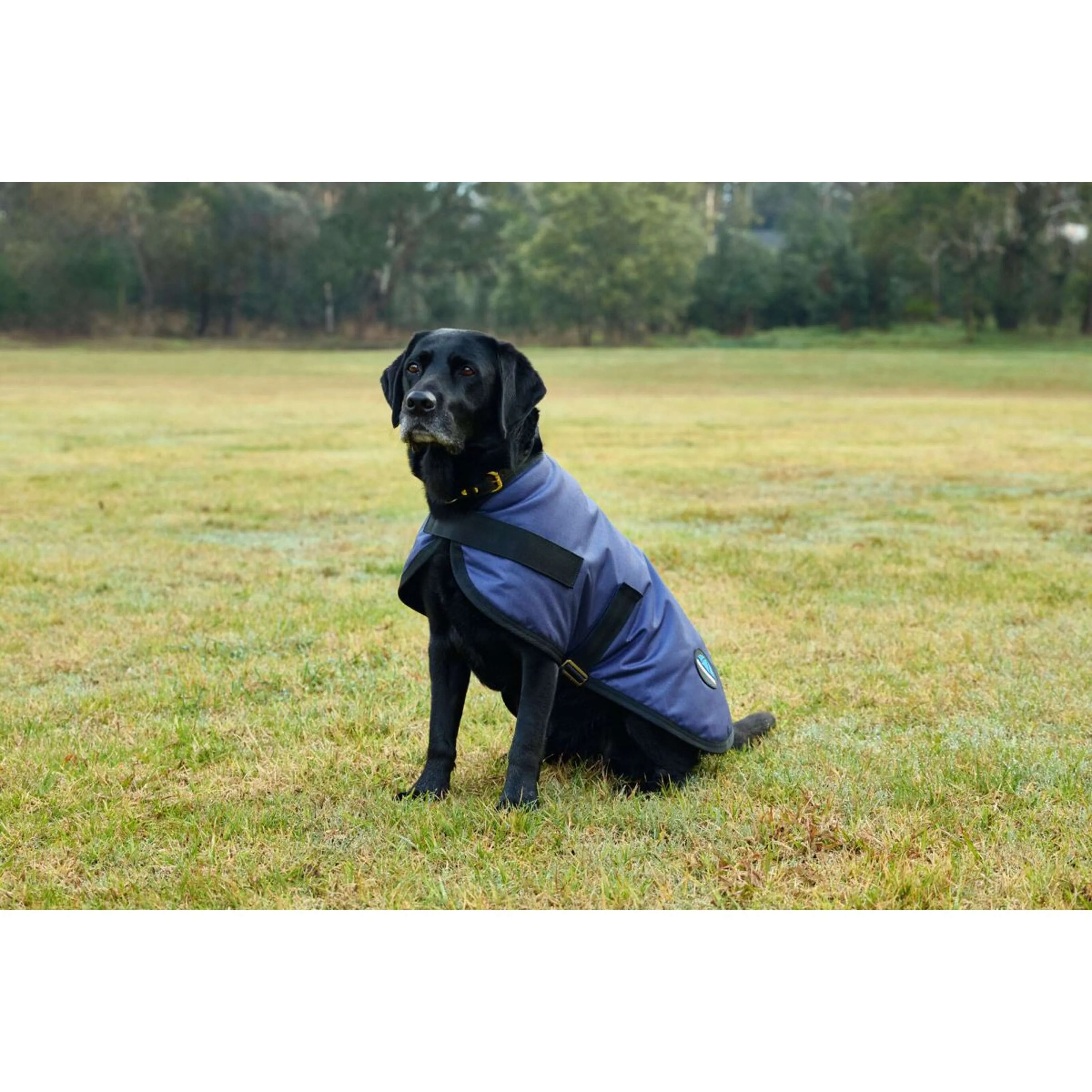 WeatherBeeta Coperta per Cani ComFiTec Classic Waterproof Navy - Image 2