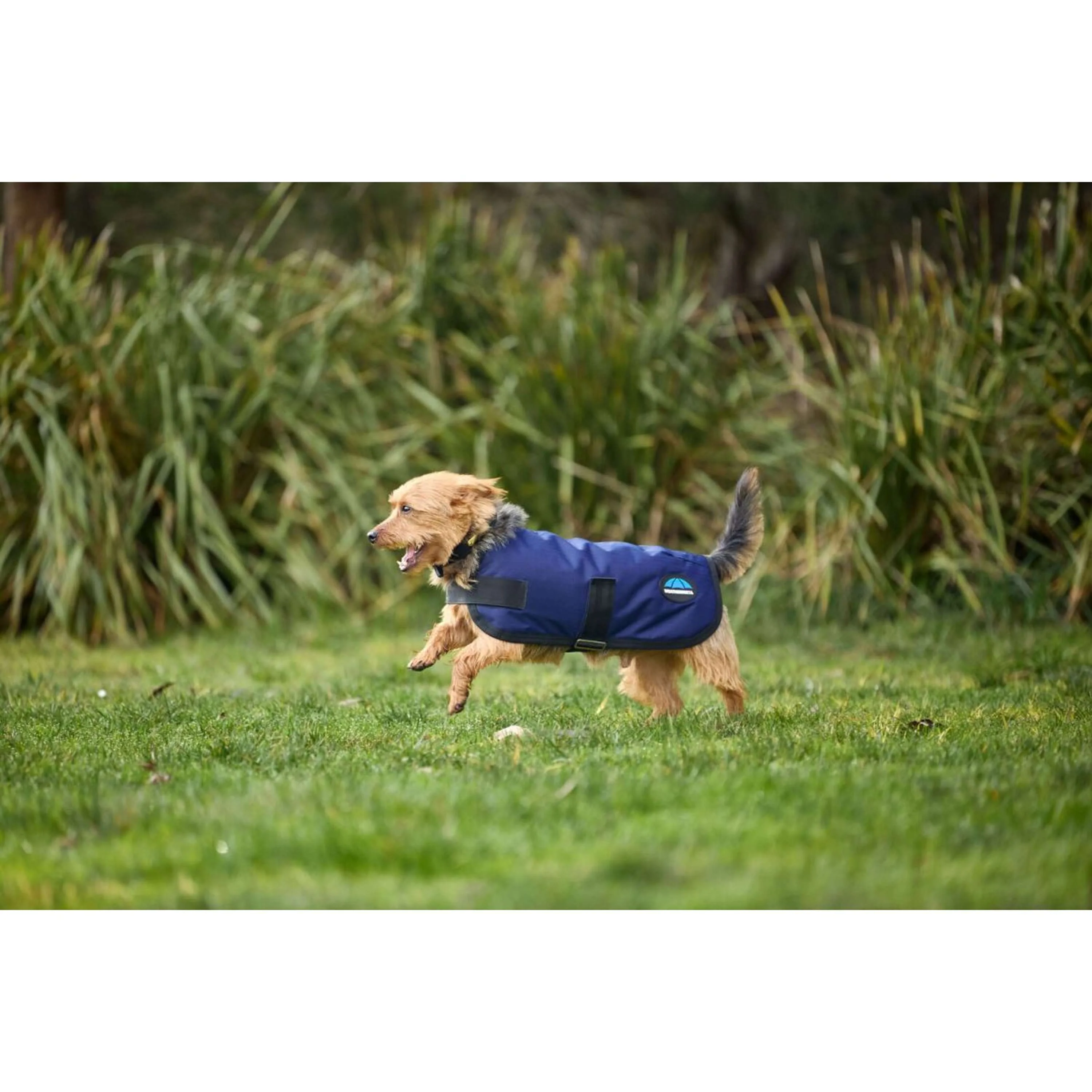 WeatherBeeta Coperta per Cani ComFiTec Classic Waterproof Navy - Image 3