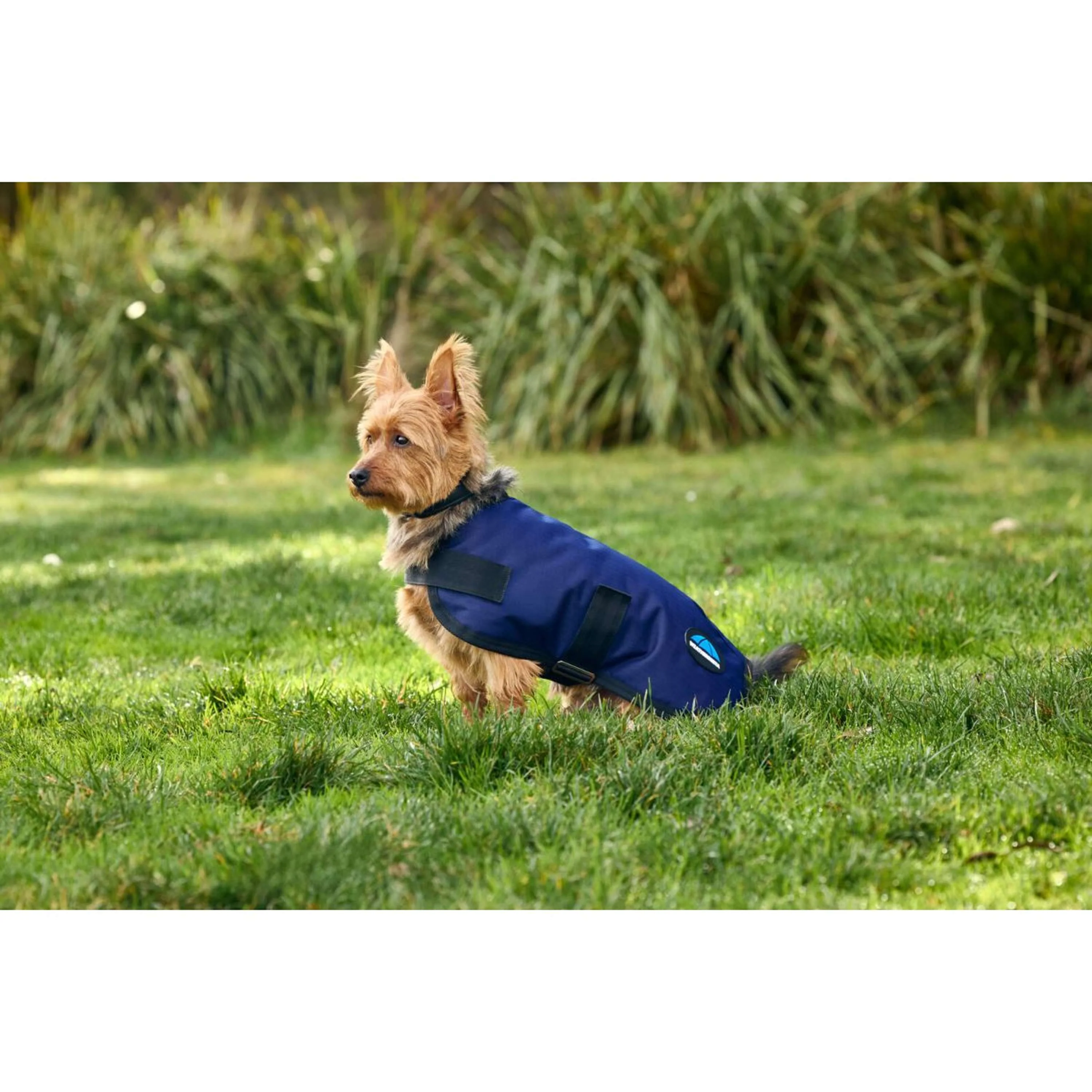 WeatherBeeta Coperta per Cani ComFiTec Classic Waterproof Navy - Image 4