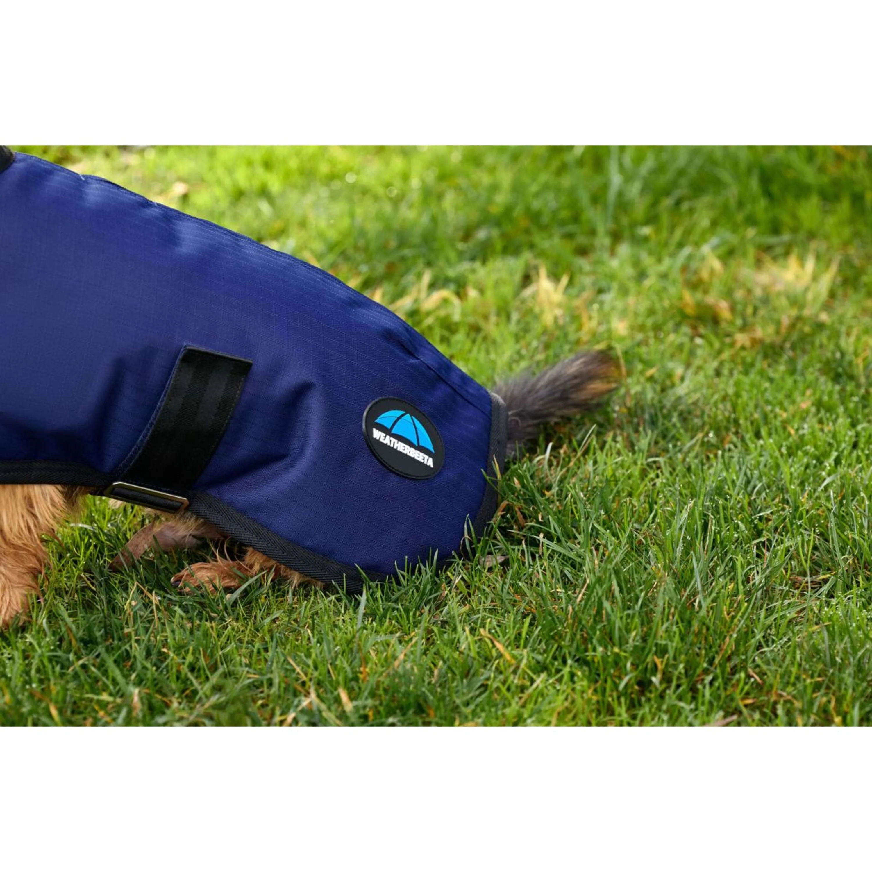 WeatherBeeta Coperta per Cani ComFiTec Classic Waterproof Navy - Image 5