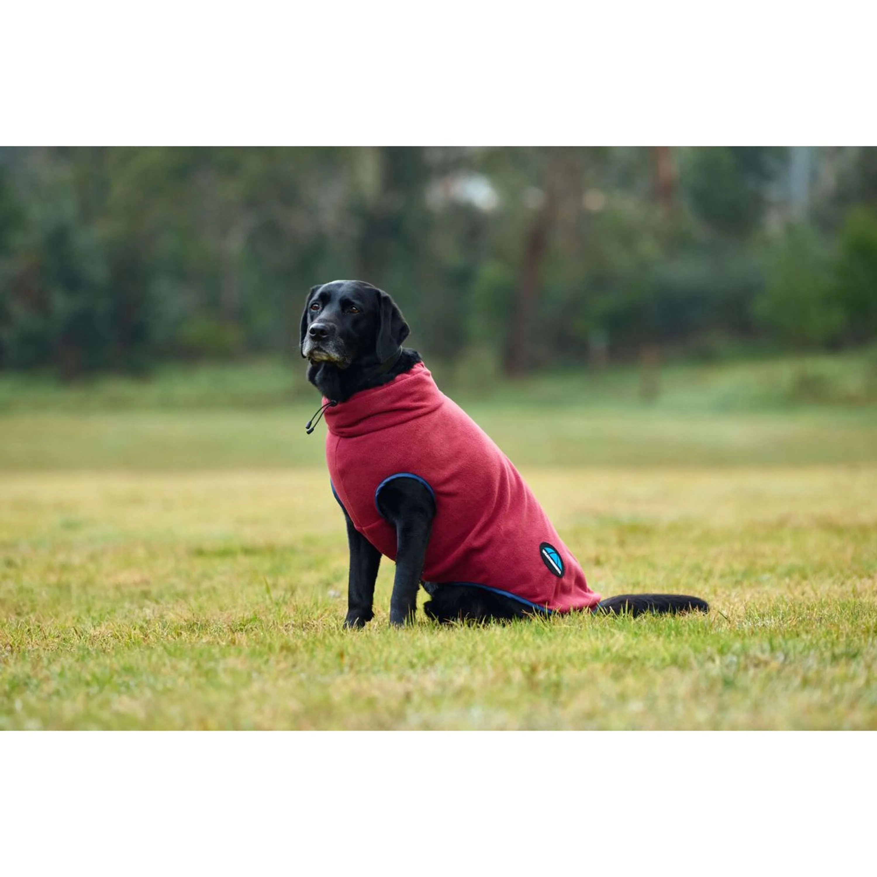 WeatherBeeta Coperta per Cani ComFiTec Fleece Zip Borgogna/Marina - Image 2
