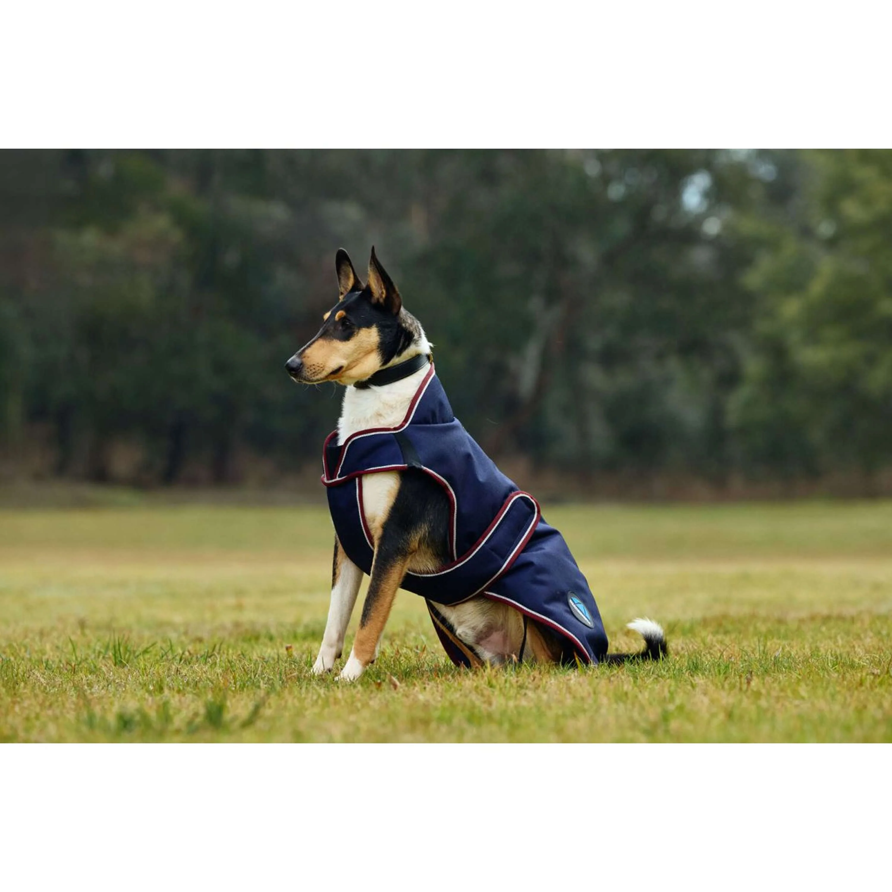 WeatherBeeta Coperta per Cani ComFiTec Premier Deluxe Waterproof Navy/Burgundy - Image 3