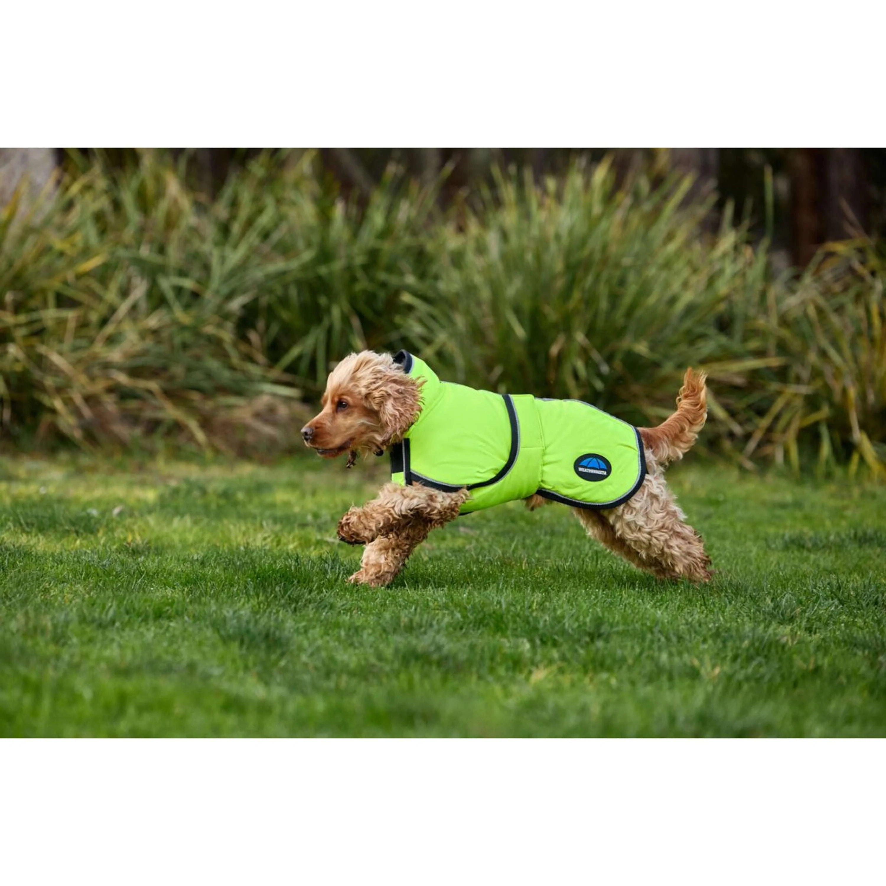 WeatherBeeta Coperta per Cani ComFiTec Reflective 300D Deluxe Showerproof Giallo - Image 6