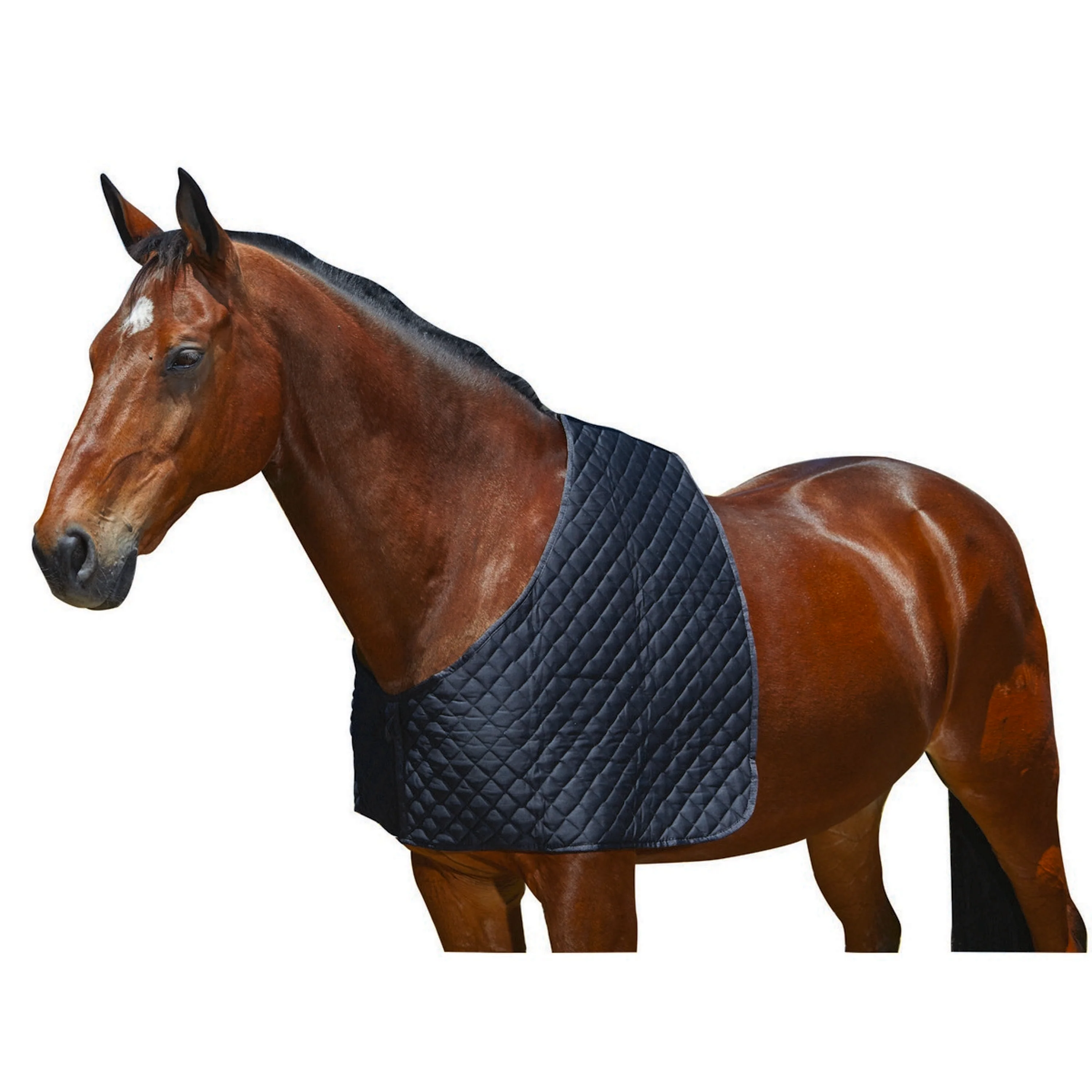 WeatherBeeta Protezione per le spalle Deluxe Nero - Image 2