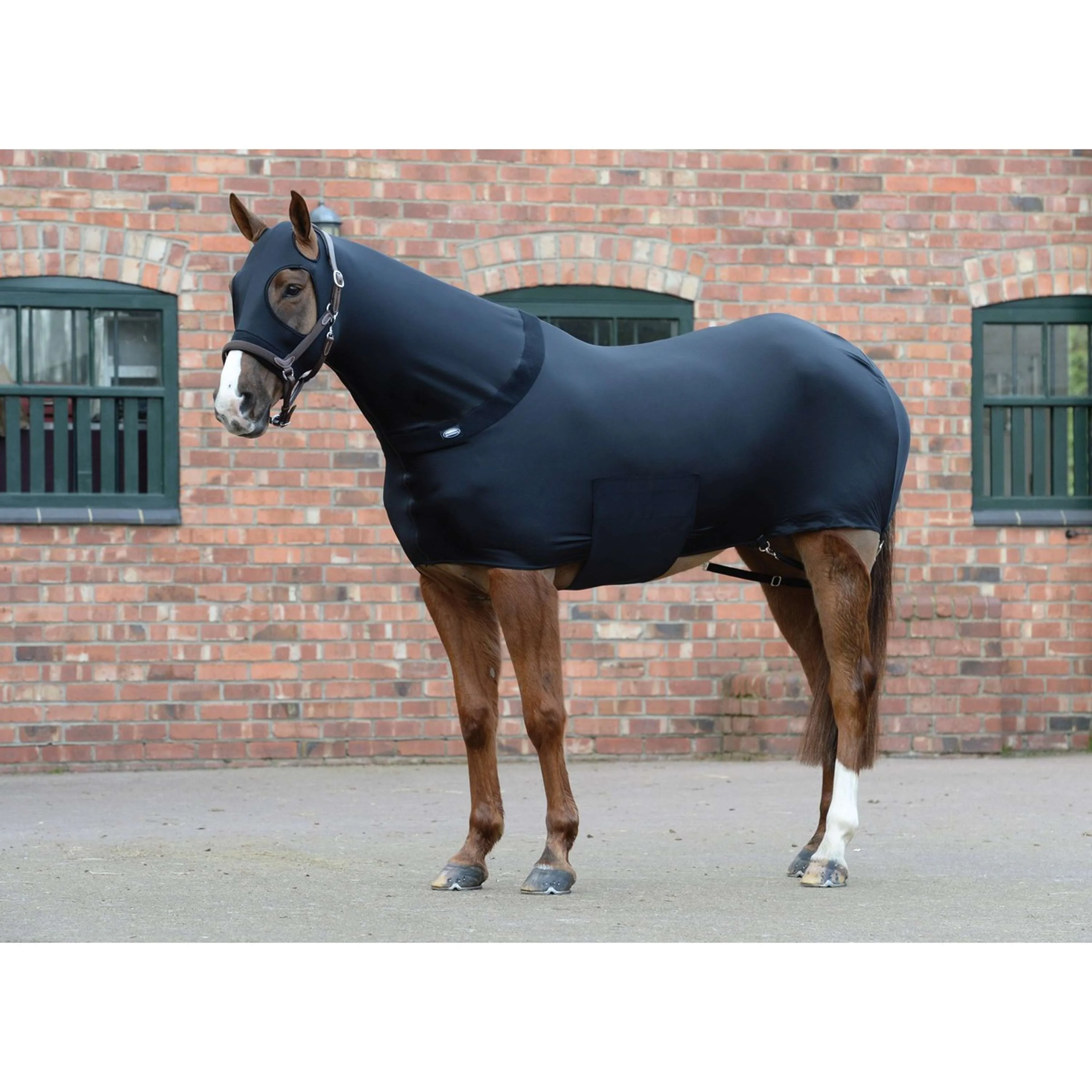 WeatherBeeta Rug Stretch Nero