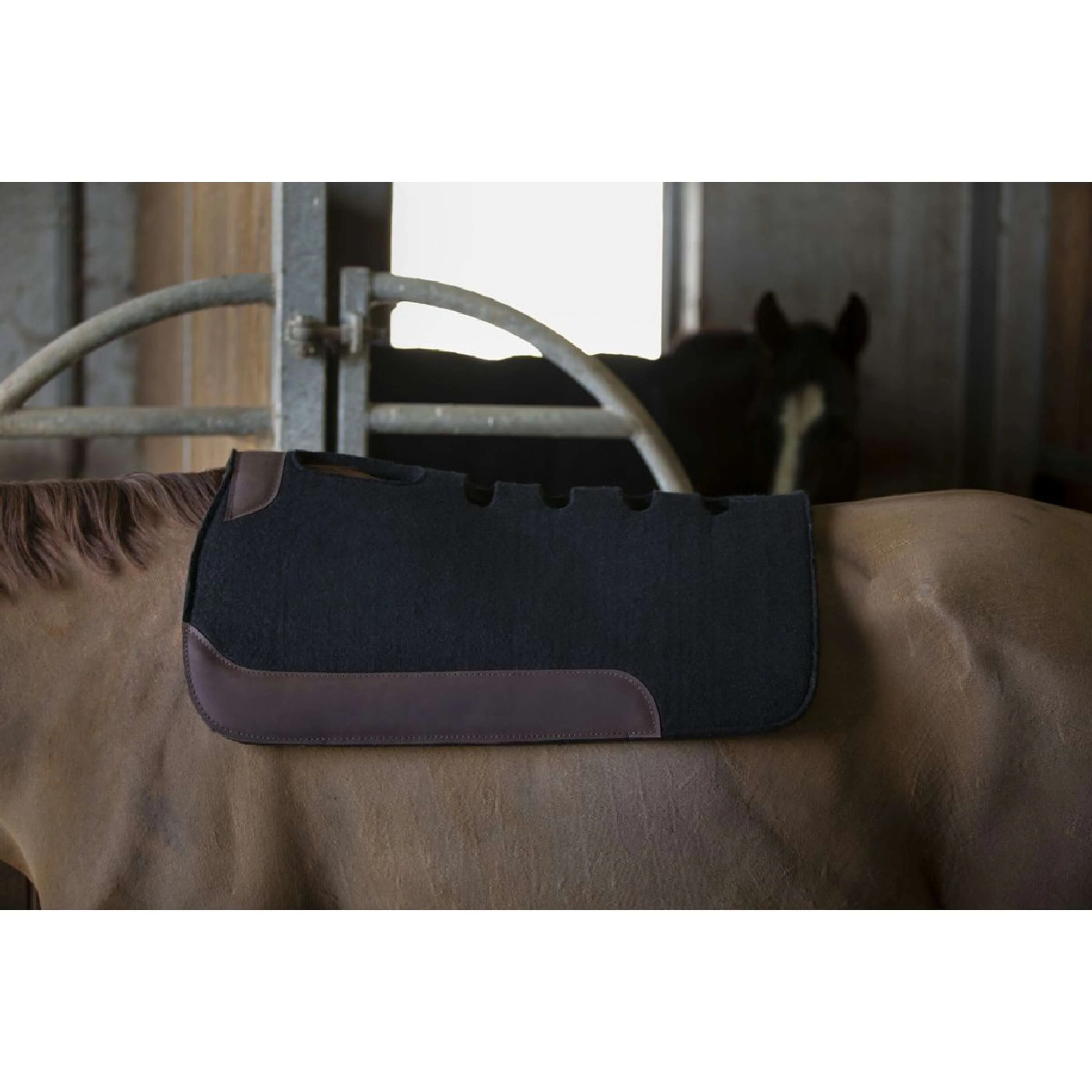 Westride Westernpad con Borse Nero - Image 2