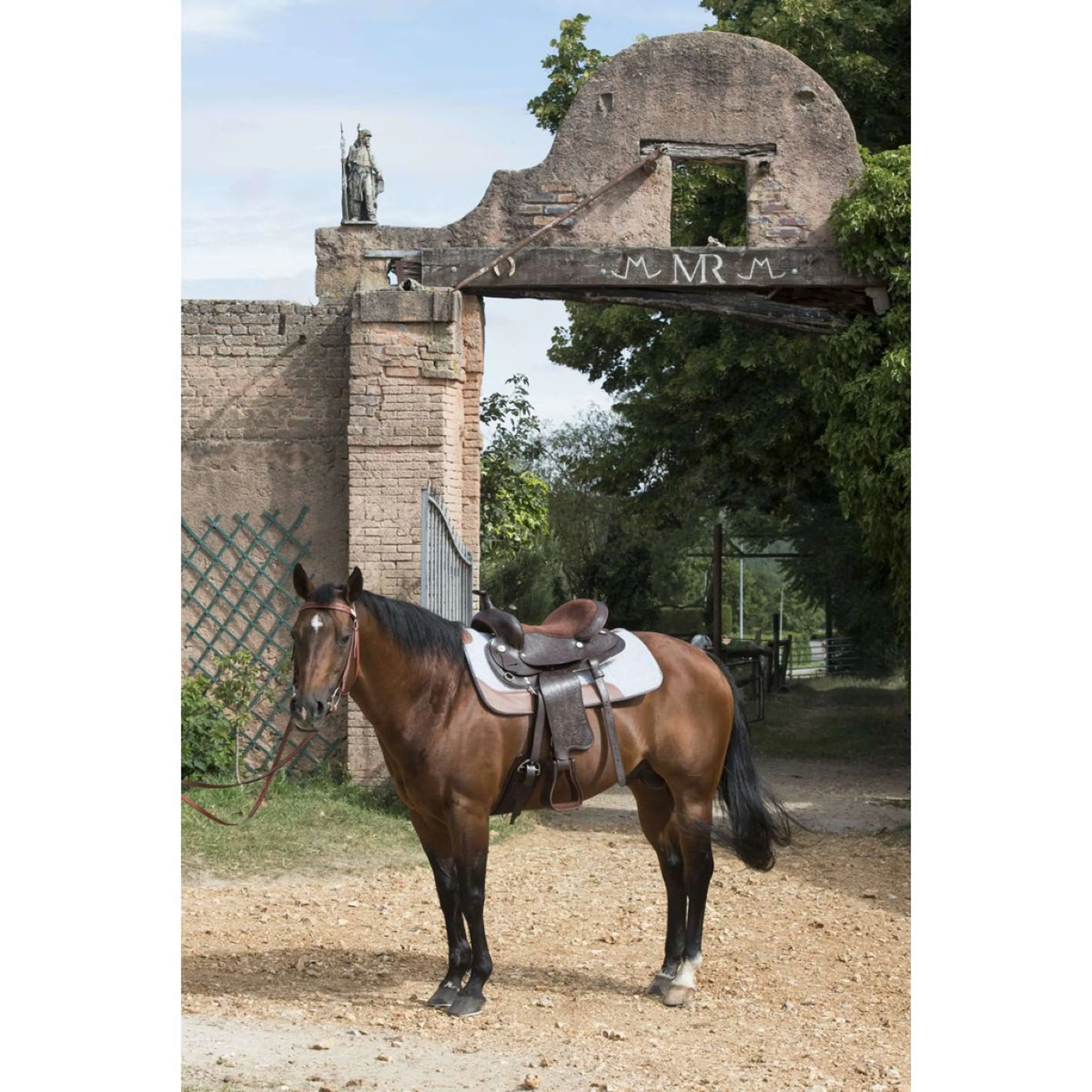 Westride Tampone in feltro Grigio - Image 3